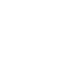 New North